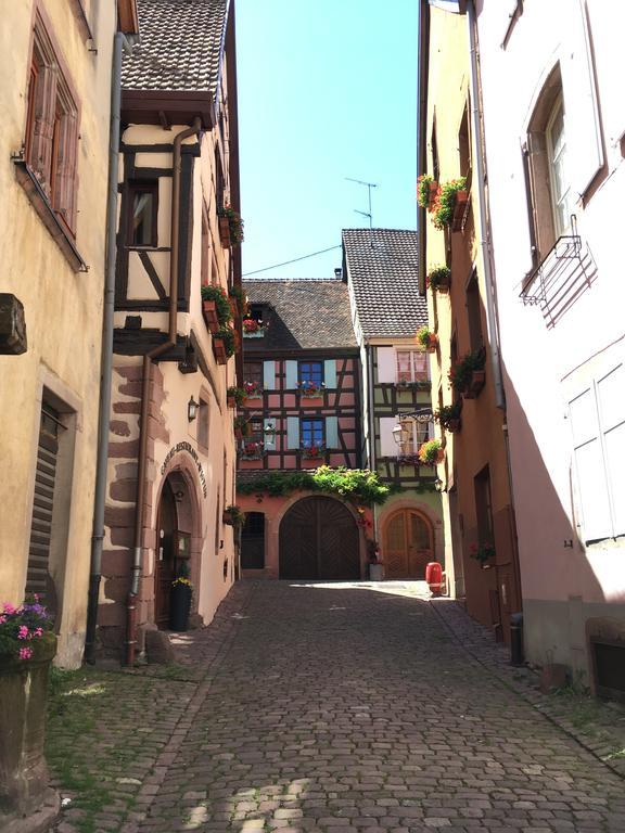 Le P'retzel&le Sticksy * Riquewihr
