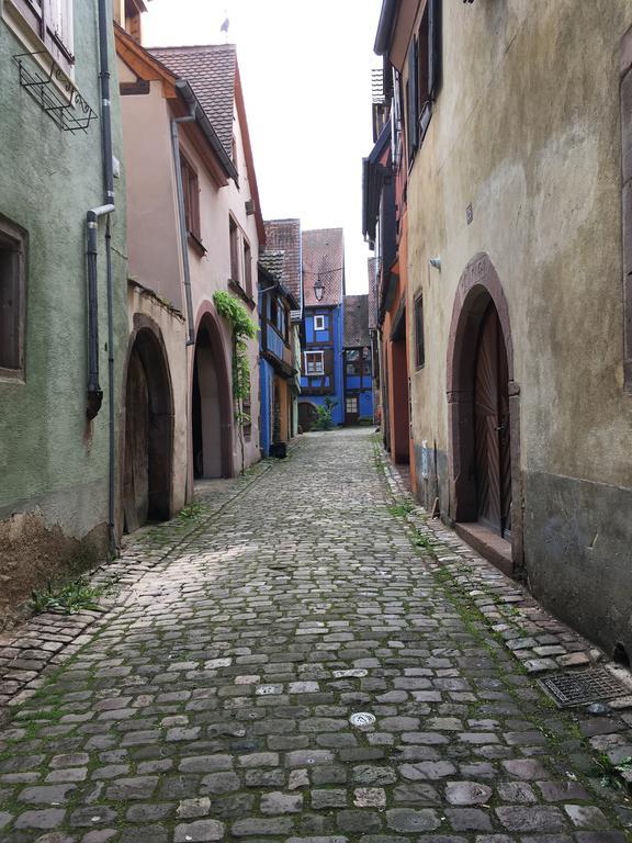 Le P'retzel&le Sticksy Appartement Riquewihr
