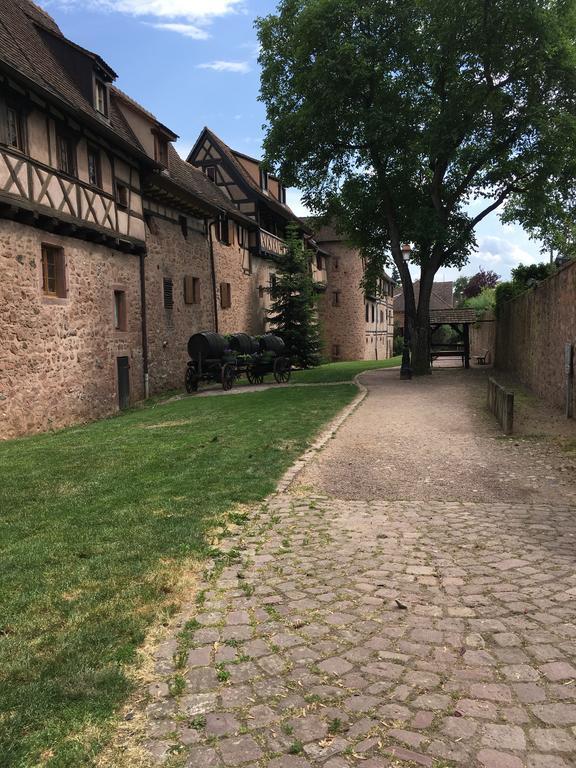 Le P'retzel&le Sticksy * Riquewihr
