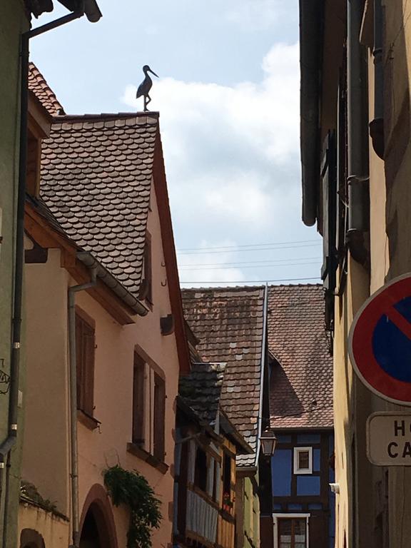 Le P'retzel & Le Sticksy Riquewihr