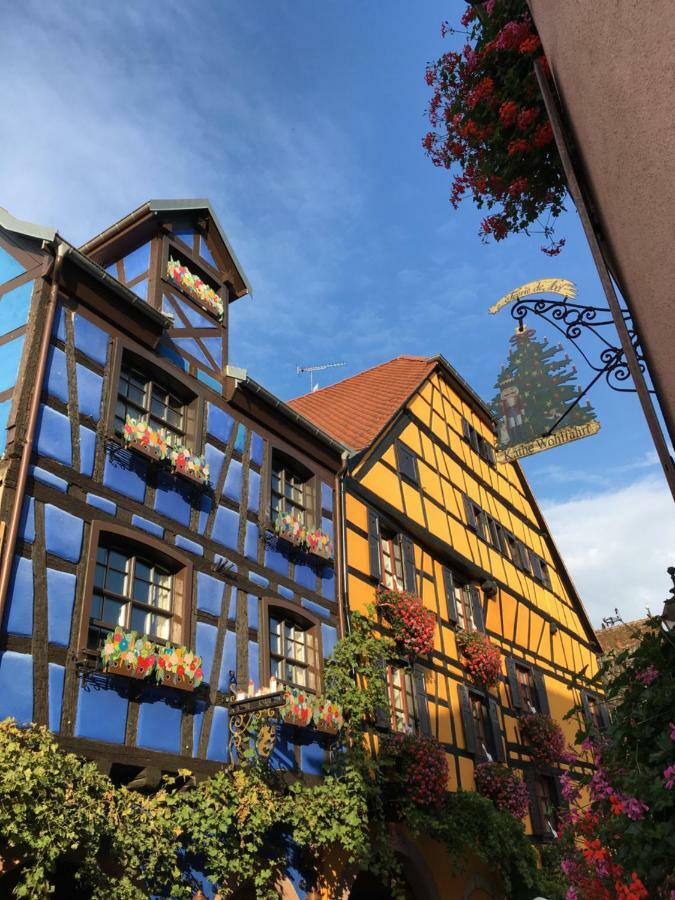 Le P'retzel & Le Sticksy Apartment Riquewihr